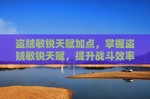 盗贼敏锐天赋加点，掌握盗贼敏锐天赋，提升战斗效率的终极指南