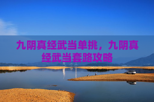 九阴真经武当单挑，九阴真经武当套路攻略