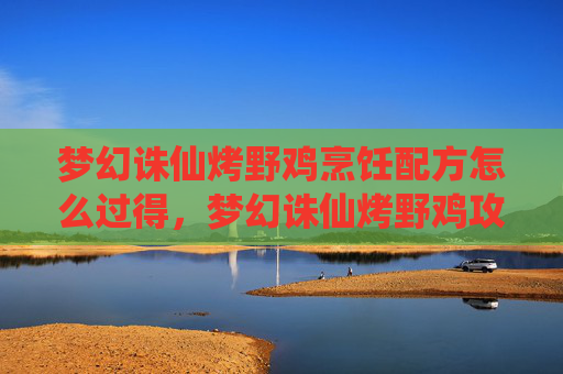 梦幻诛仙烤野鸡烹饪配方怎么过得，梦幻诛仙烤野鸡攻略，解锁美味与技巧并存的烹饪艺术