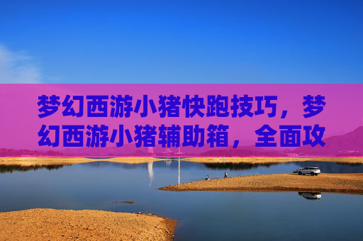 梦幻西游小猪快跑技巧，梦幻西游小猪辅助箱，全面攻略