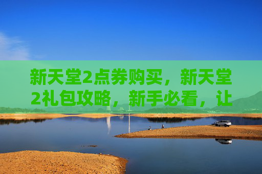 新天堂2点券购买，新天堂2礼包攻略，新手必看，让你快速上手