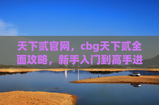 天下贰官网，cbg天下贰全面攻略，新手入门到高手进阶