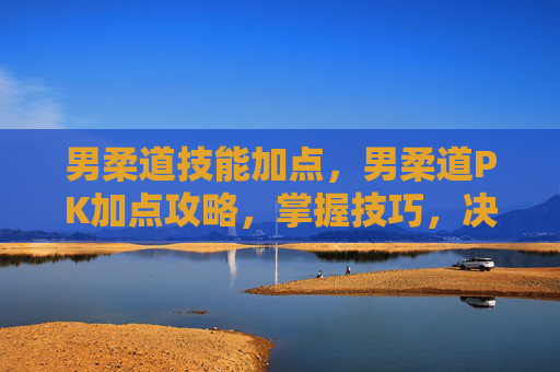 男柔道技能加点，男柔道PK加点攻略，掌握技巧，决胜赛场