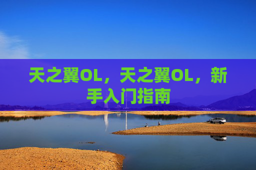 天之翼OL，天之翼OL，新手入门指南