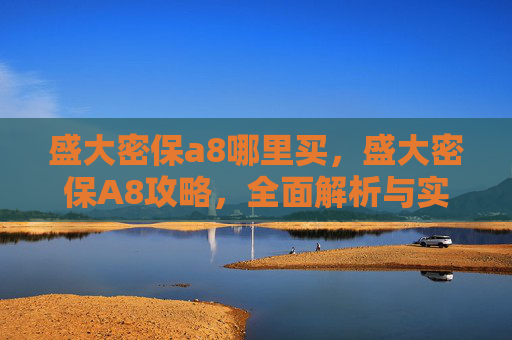 盛大密保a8哪里买,盛大密保A8攻略,全面解析与实用技巧 盛大密保a8哪里买,盛大密保A8攻略,全面解析与实用技巧