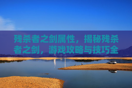 残杀者之剑属性，揭秘残杀者之剑，游戏攻略与技巧全解析