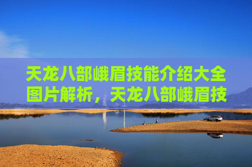 天龙八部峨眉技能介绍大全图片解析，天龙八部峨眉技能深度解析，掌握峨眉的终极奥义