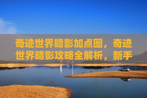 奇迹世界暗影加点图，奇迹世界暗影攻略全解析，新手必看指南