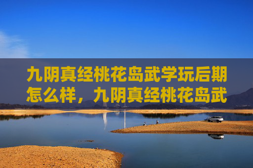 九阴真经桃花岛武学玩后期怎么样，九阴真经桃花岛武学深度解析