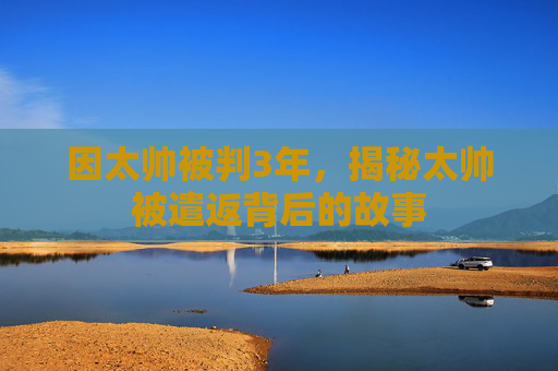 因太帅被判3年，揭秘太帅被遣返背后的故事