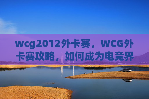 wcg2012外卡赛，WCG外卡赛攻略，如何成为电竞界的黑马？