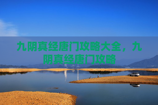 九阴真经唐门攻略大全，九阴真经唐门攻略