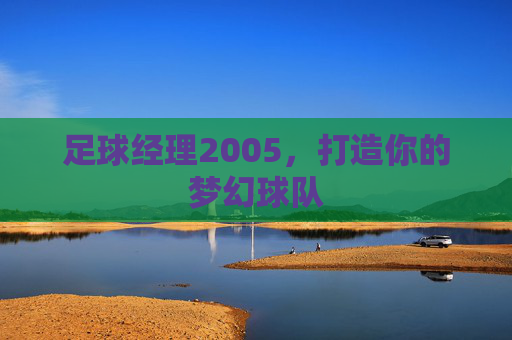 足球经理2005，打造你的梦幻球队