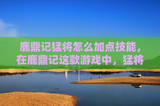 鹿鼎记猛将怎么加点技能，在鹿鼎记这款游戏中，猛将是玩家扮演的角色之一，拥有强大的战斗力和独特的技能。加点是提升角色实力的重要途径，以下是一些关于猛将如何加点的攻略