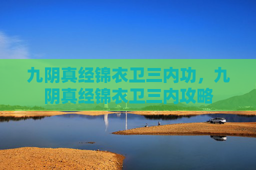 九阴真经锦衣卫三内功，九阴真经锦衣卫三内攻略
