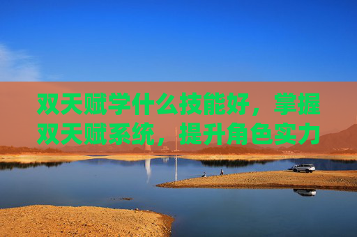 双天赋学什么技能好,掌握双天赋系统,提升角色实力的终极攻略 双天赋学什么技能好,掌握双天赋系统,提升角色实力的终极攻略