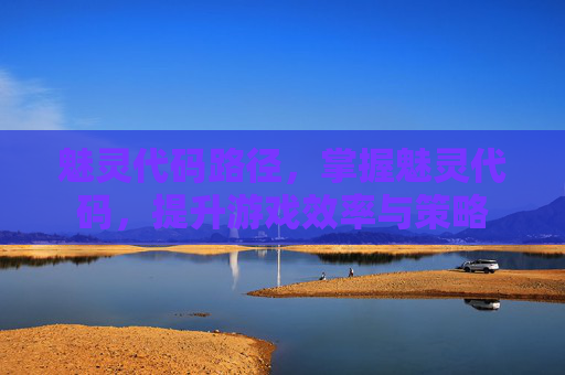 魅灵代码路径,掌握魅灵代码,提升游戏效率与策略 魅灵代码路径,掌握魅灵代码,提升游戏效率与策略