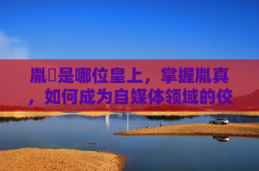 胤禛是哪位皇上，掌握胤真，如何成为自媒体领域的佼佼者