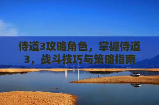 侍道3攻略角色,掌握侍道3,战斗技巧与策略指南 侍道3攻略角色,掌握侍道3,战斗技巧与策略指南