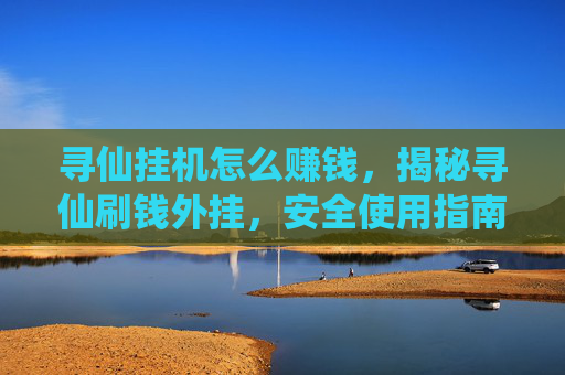 寻仙挂机怎么赚钱，揭秘寻仙刷钱外挂，安全使用指南与风险分析
