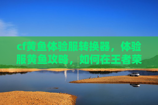 cf黄鱼体验服转换器，体验服黄鱼攻略，如何在王者荣耀中高效利用体验服资源