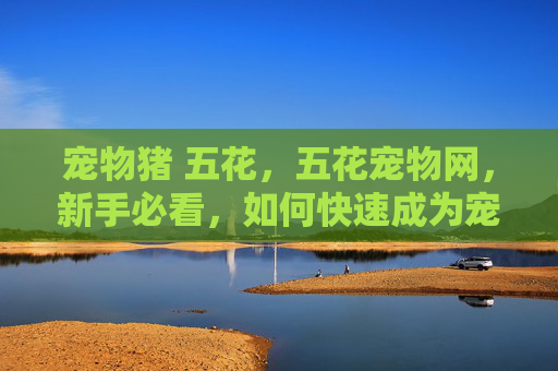宠物猪 五花，五花宠物网，新手必看，如何快速成为宠物养护达人