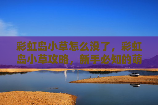 彩虹岛小草怎么没了,彩虹岛小草攻略,新手必知的萌新指南 彩虹岛小草怎么没了,彩虹岛小草攻略,新手必知的萌新指南