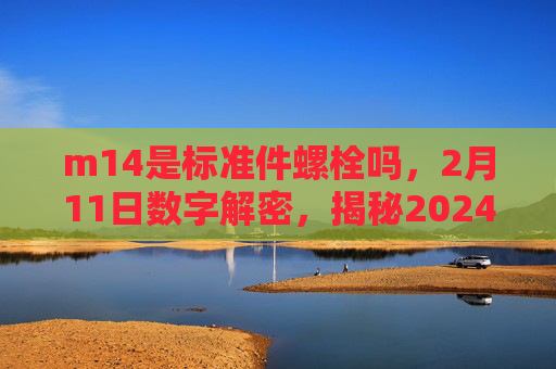 m14是标准件螺栓吗，2月11日数字解密，揭秘2024年的数字密码