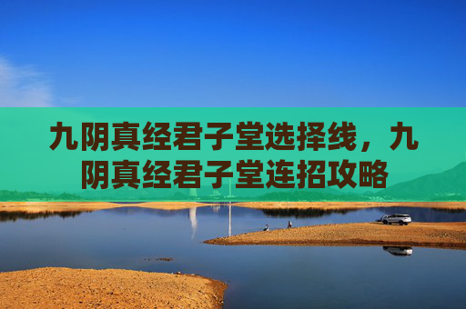 九阴真经君子堂选择线，九阴真经君子堂连招攻略