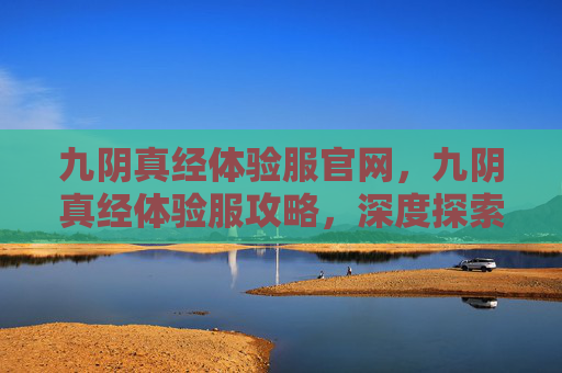 九阴真经体验服官网，九阴真经体验服攻略，深度探索与技巧分享