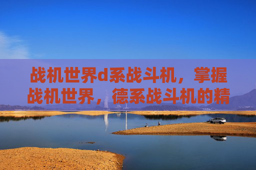 战机世界d系战斗机，掌握战机世界，德系战斗机的精髓与策略