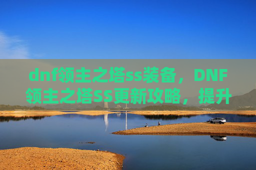 dnf领主之塔ss装备，DNF领主之塔SS更新攻略，提升效率与策略全解析