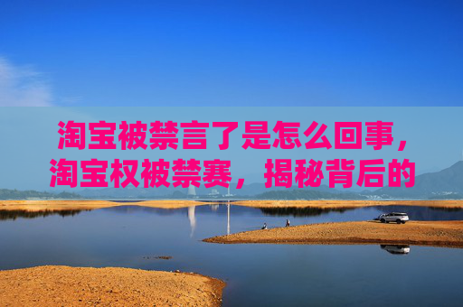 淘宝被禁言了是怎么回事,淘宝权被禁赛,揭秘背后的故事与应对策略 淘宝被禁言了是怎么回事,淘宝权被禁赛,揭秘背后的故事与应对策略