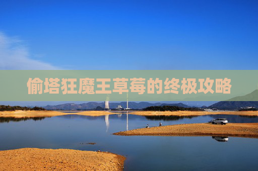 偷塔狂魔王草莓的终极攻略 偷塔狂魔王草莓的终极攻略