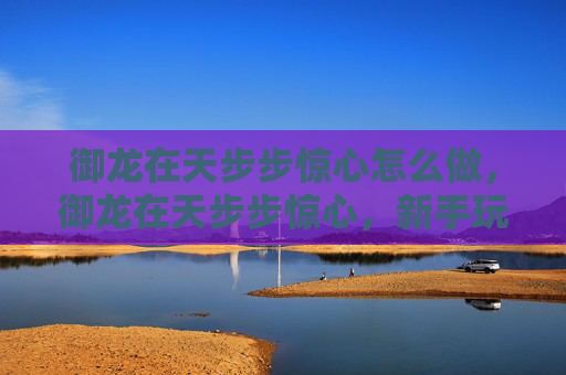 御龙在天步步惊心怎么做，御龙在天步步惊心，新手玩家的进阶攻略