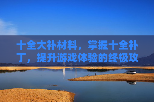 十全大补材料，掌握十全补丁，提升游戏体验的终极攻略