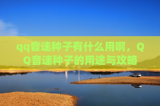 qq音速种子有什么用啊，QQ音速种子的用途与攻略