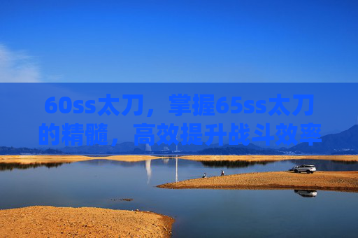 60ss太刀,掌握65ss太刀的精髓,高效提升战斗效率与技巧 60ss太刀,掌握65ss太刀的精髓,高效提升战斗效率与技巧