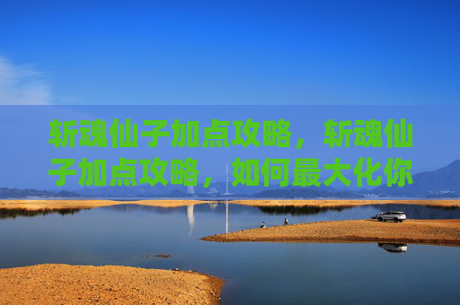 斩魂仙子加点攻略，斩魂仙子加点攻略，如何最大化你的战斗力