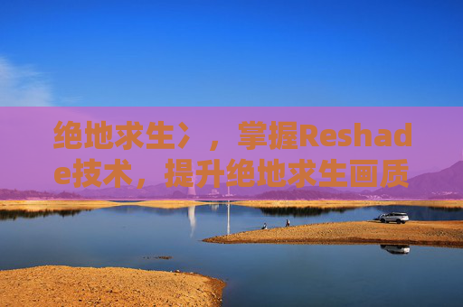 绝地求生冫,掌握Reshade技术,提升绝地求生画质的终极攻略 绝地求生冫,掌握Reshade技术,提升绝地求生画质的终极攻略