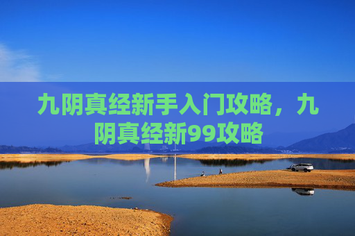 九阴真经新手入门攻略，九阴真经新99攻略