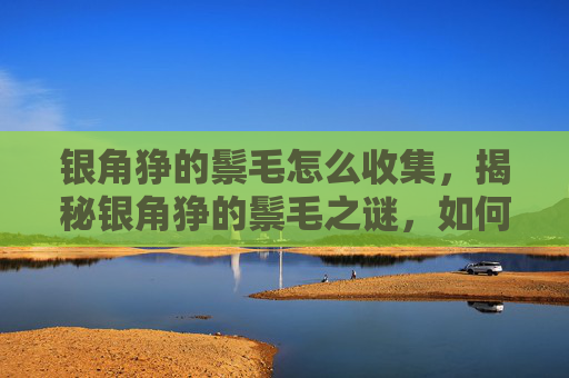 银角狰的鬃毛怎么收集，揭秘银角狰的鬃毛之谜，如何识别和理解其象征意义