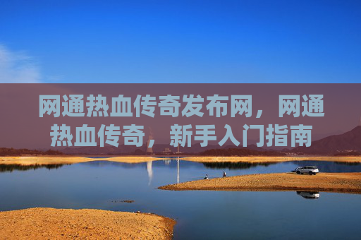 网通热血传奇发布网，网通热血传奇，新手入门指南