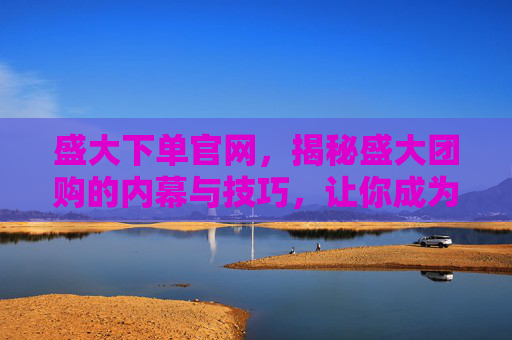 盛大下单官网，揭秘盛大团购的内幕与技巧，让你成为团购高手！