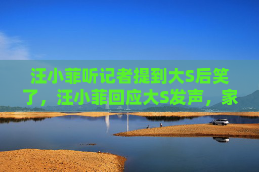 汪小菲听记者提到大S后笑了，汪小菲回应大S发声，家庭风波背后的真相与启示