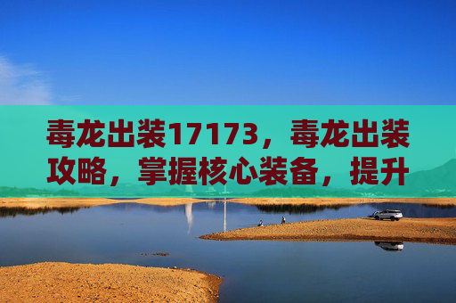 毒龙出装17173，毒龙出装攻略，掌握核心装备，提升战斗效率