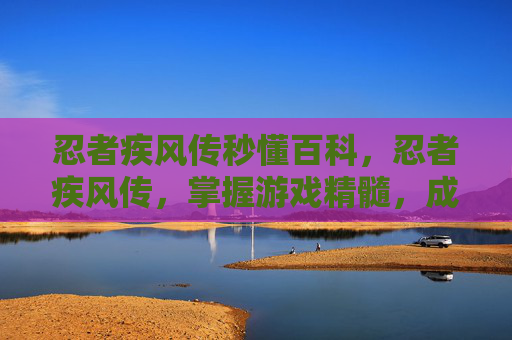忍者疾风传秒懂百科，忍者疾风传，掌握游戏精髓，成为真正的忍者
