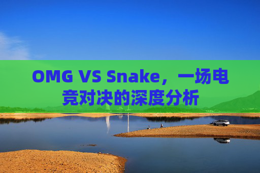 OMG VS Snake，一场电竞对决的深度分析