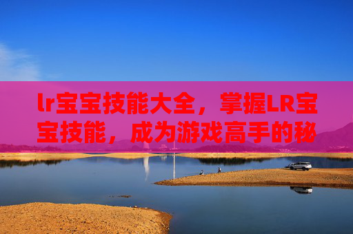 lr宝宝技能大全，掌握LR宝宝技能，成为游戏高手的秘诀
