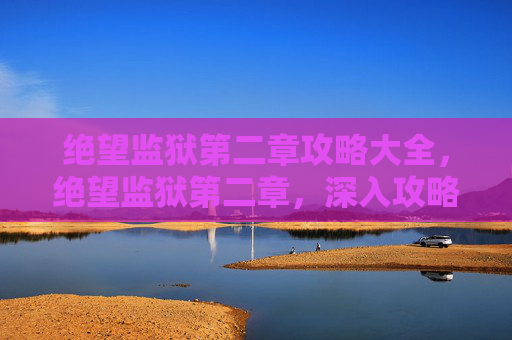绝望监狱第二章攻略大全，绝望监狱第二章，深入攻略与技巧分享